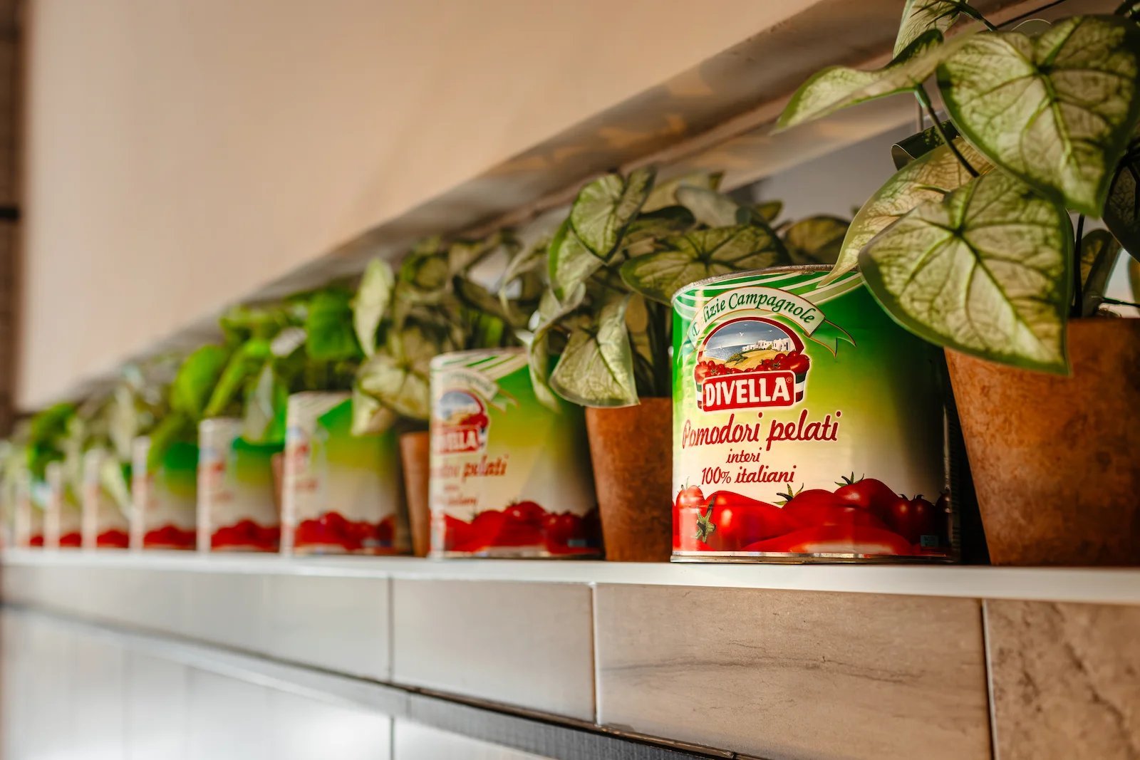 Row of tomato paste jars on a shelf with trailing ivy plants in small pots above them